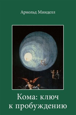 Читать онлайн книгу Кома: ключ к пробуждению автор Минделл Арнольд Книга Кома: ключ к пробуждению