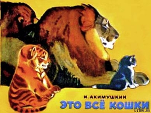 Книга Это все кошки