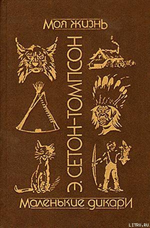 Читать онлайн книгу Моя жизнь автор Сетон-Томпсон Эрнест Книга Моя жизнь