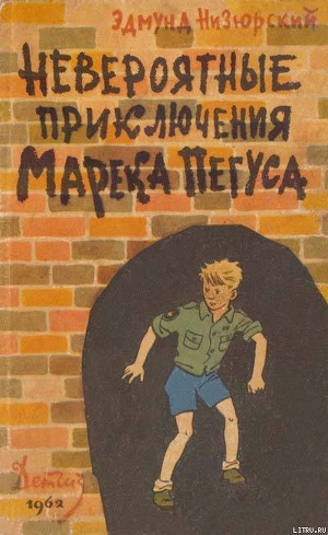 Книга Невероятные приключения Марека Пегуса
