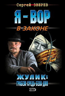 Книга Жулик: грабеж средь бела дня
