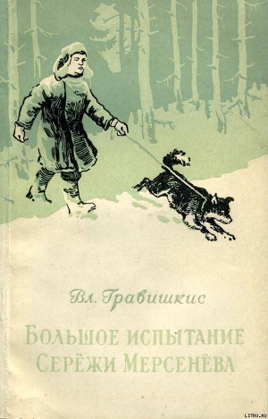 Книга Большое испытание Серёжи Мерсенёва