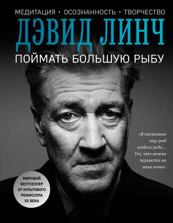 Читать онлайн книгу Поймать большую рыбу. Медитация, осознанность, творчество автор Линч Дэвид Книга Поймать большую рыбу. Медитация, осознанность, творчество