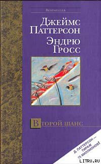 Книга Второй шанс