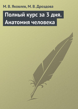 Книга Нормальная анатомия человека: конспект лекций