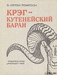 Читать онлайн книгу Крэг - кутенейский баран автор Сетон-Томпсон Эрнест Книга Крэг - кутенейский баран