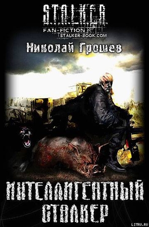 Читать онлайн книгу Интеллигентный сталкер автор Грошев Николай Геннадьевич Книга Интеллигентный сталкер