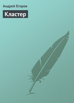 Читать онлайн книгу Кластер автор Егоров Андрей Игоревич Книга Кластер