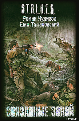 Читать онлайн книгу Связанные Зоной автор Куликов Роман Владимирович Книга Связанные Зоной