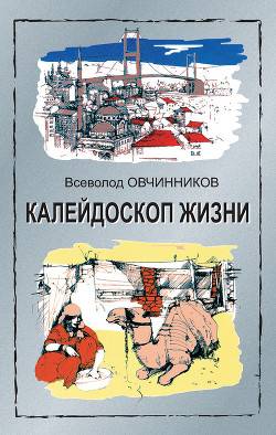 Книга Калейдоскоп жизни