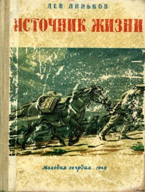 Читать онлайн книгу Источник жизни автор Линьков Лев Александрович Книга Источник жизни