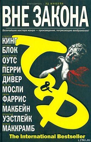 Читать онлайн книгу Вне закона автор Перри Энн Книга Вне закона