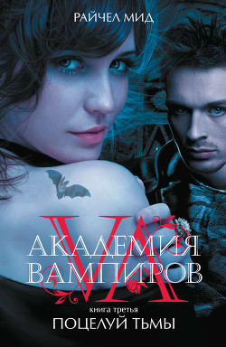 Читать онлайн книгу Поцелуй тьмы автор Мид Ричел (Райчел) Книга Поцелуй тьмы