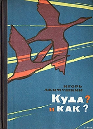 Книга КУДА? и КАК?