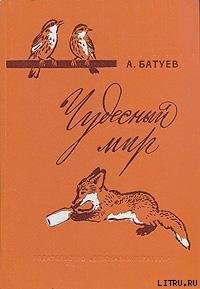 Книга Чудесный мир