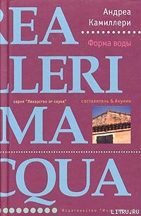 Книга Форма воды
