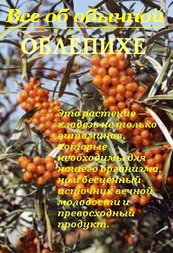 Книга Все об обычной облепихе