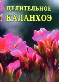 Книга Целительное каланхоэ