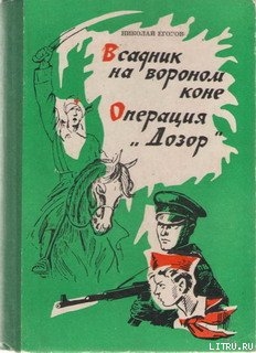 Книга Всадник на вороном коне