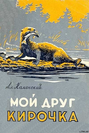 Книга Мой  друг  Кирочка