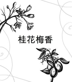 Книга Цветы корицы, аромат сливы (СИ)