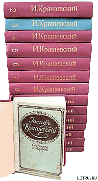 Читать онлайн книгу Борьба за Краков (При короле Локотке) автор Крашевский Юзеф Игнаций Книга Борьба за Краков (При короле Локотке)