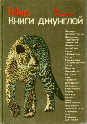 Книга Мир Книги джунглей