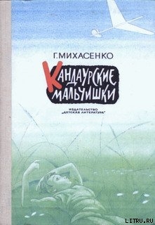 Читать онлайн книгу Кандаурские мальчишки автор Михасенко Геннадий Павлович Книга Кандаурские мальчишки