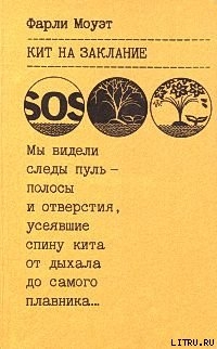Книга Кит на заклание