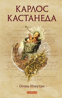 Читать онлайн книгу Огонь изнутри автор Кастанеда Карлос Книга Огонь изнутри