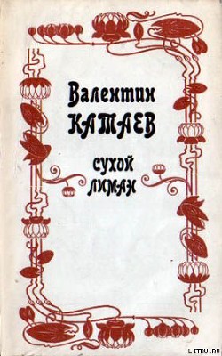 Книга Обоюдный старичок