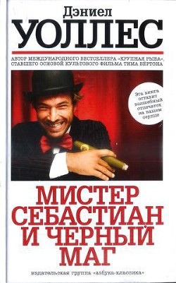 Книга Мистер Себастиан и черный маг