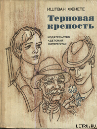 Читать онлайн книгу Терновая крепость автор Фекете Иштван Книга Терновая крепость