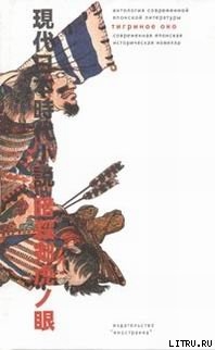 Читать онлайн книгу «Тигриное око» – орудие тайных убийц автор Фудзисава Сюхэй Книга «Тигриное око» – орудие тайных убийц
