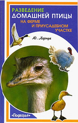 Книга Разведение домашней птицы на ферме и приусадебном участке