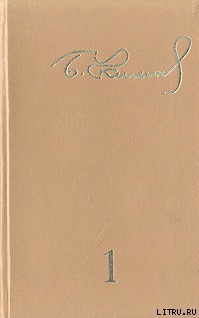 Книга Частное расследование