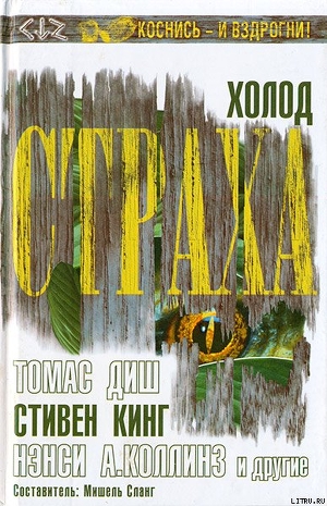 Читать онлайн книгу Холод страха автор Сланг Мишель Книга Холод страха