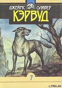 Читать онлайн книгу Быстрая Молния автор Кервуд Джеймс Оливер Книга Быстрая Молния