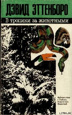 Книга В тропики за животными