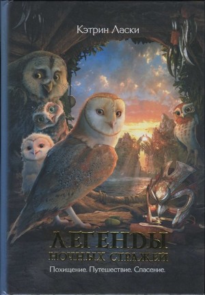 Книга Похищение