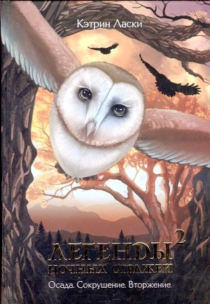 Книга Вторжение