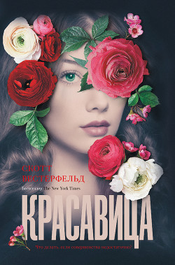 Книга Красавица