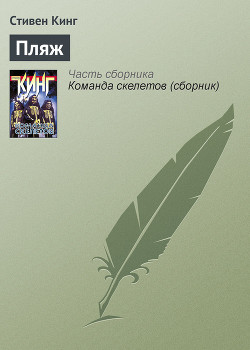 Читать онлайн книгу Пляж автор Кинг Стивен Книга Пляж