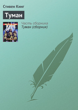 Читать онлайн книгу Туман автор Кинг Стивен Книга Туман