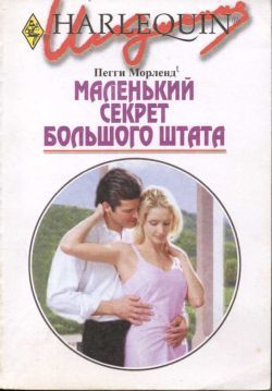 Читать онлайн книгу Маленький секрет большого штата автор Морленд Пегги Книга Маленький секрет большого штата