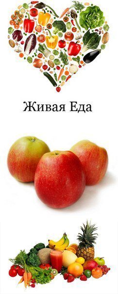 Книга Сытый веган
