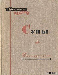 Читать онлайн книгу Супы автор Ананьев Алексей Ананьевич Книга Супы
