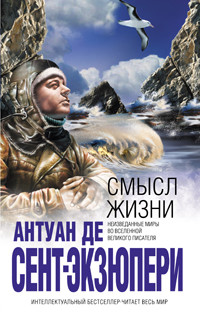 Читать онлайн книгу Смысл жизни автор де Сент-Экзюпери Антуан Книга Смысл жизни