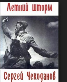 Книга Летний шторм