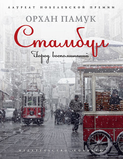 Читать онлайн книгу Стамбул. Город воспоминаний автор Памук Орхан Книга Стамбул. Город воспоминаний